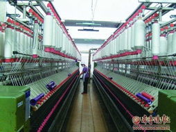 棉里针 刺痛纺织业 山东纺企囤棉万吨亏损上亿